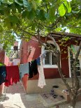 Masazırda yeni tikili həyət evi sahəsi 78 kv.m
