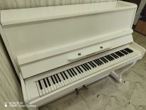 Yeni kimi Akkord pianino – real alıcıya endirim!